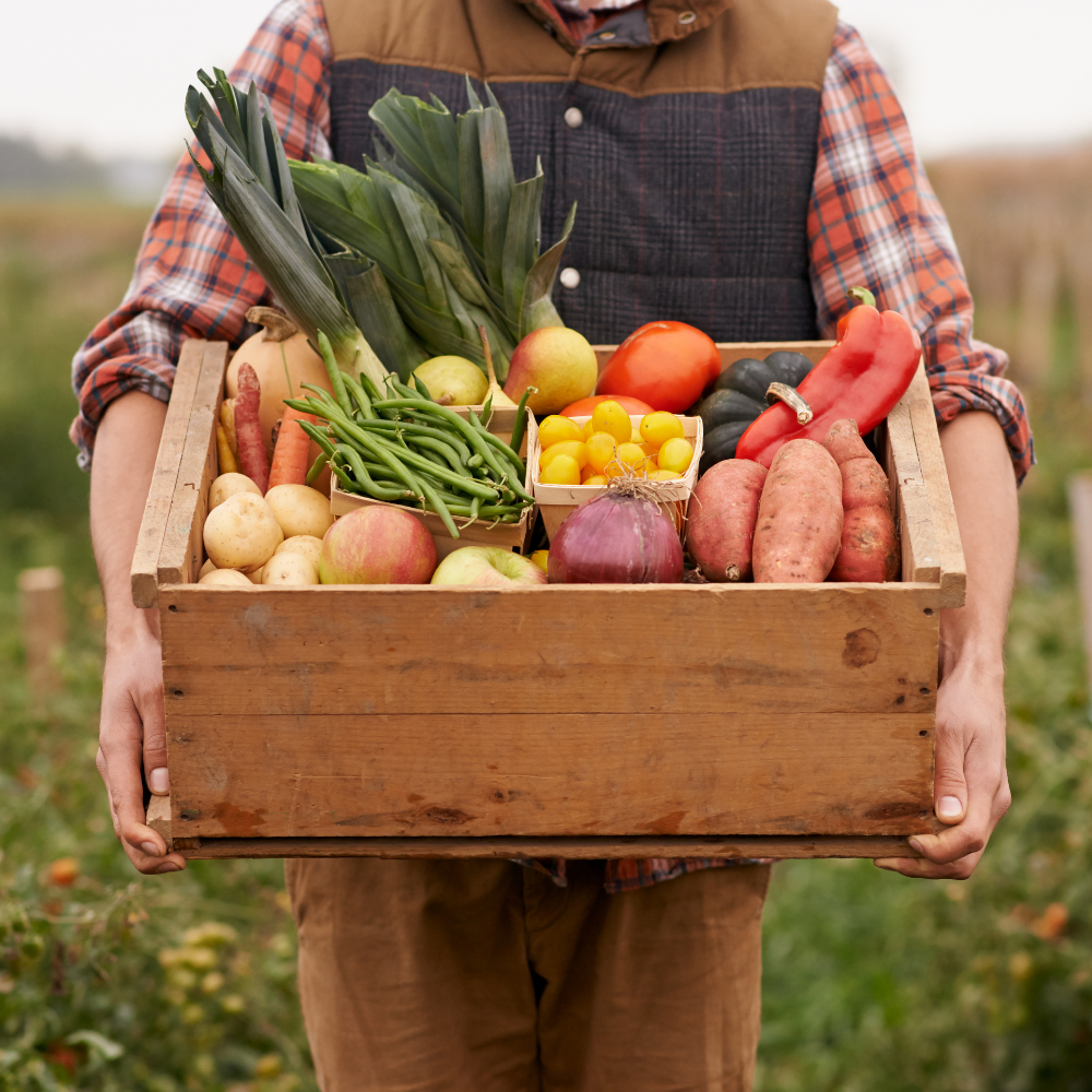 Veg Boxes – The Choice is Yours