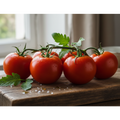 PACK OF 5 LARGE  VINE TOMATOES