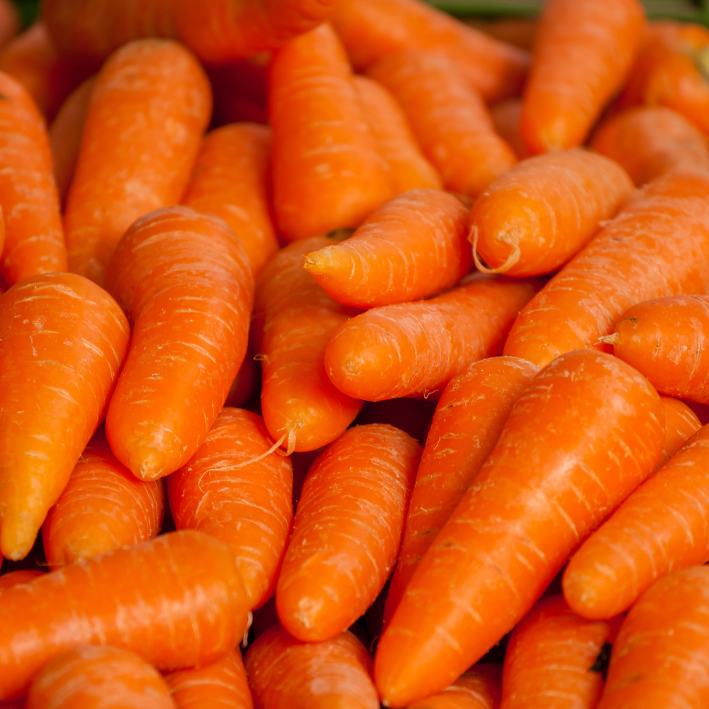 Carrots - Baby Chantenay - British - Pack