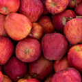Apples - Braeburn - Pack of 6