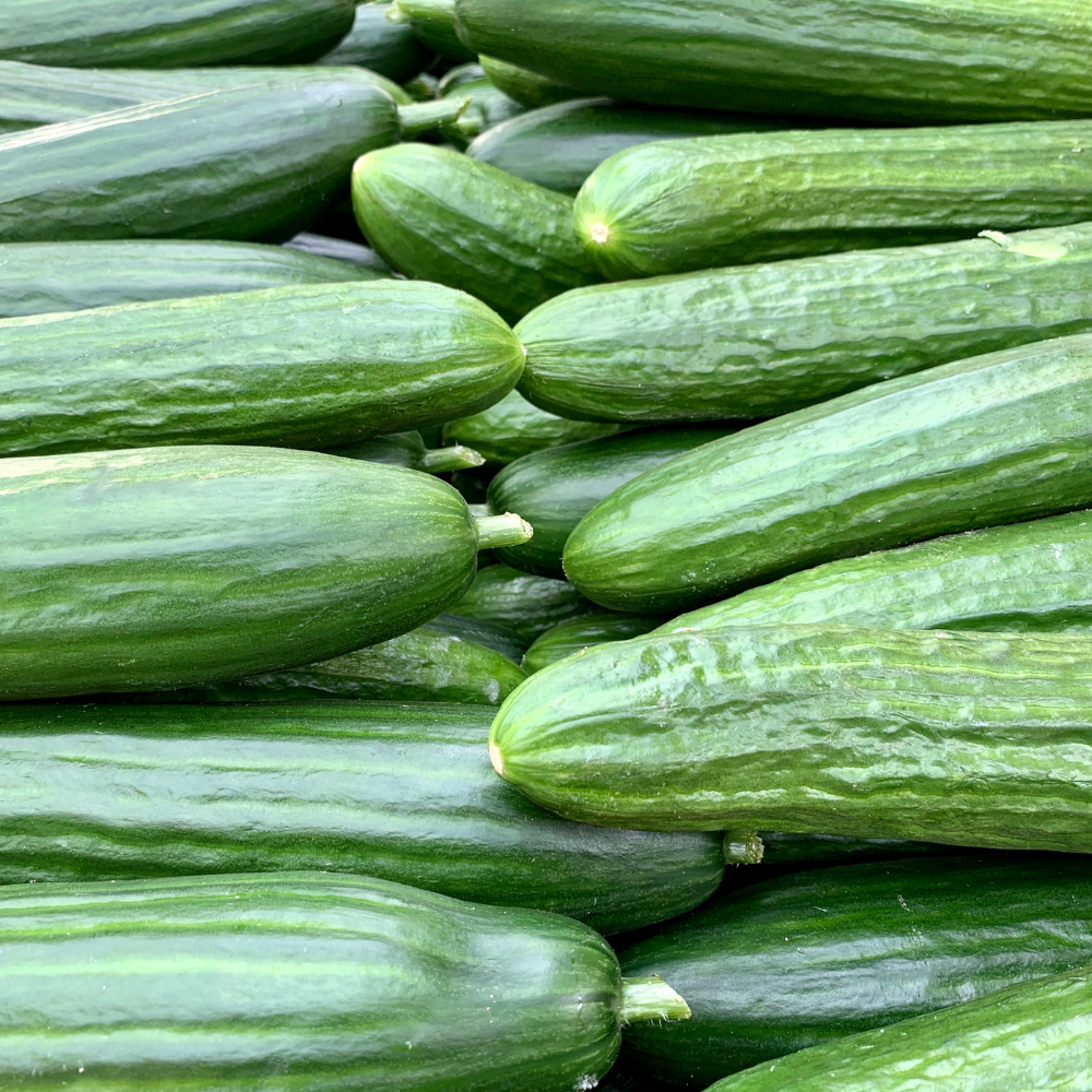 Cucumber - Each