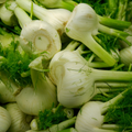 Fennel - Each
