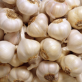 Garlic - Each