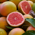 Grapefruit - Rose - Each
