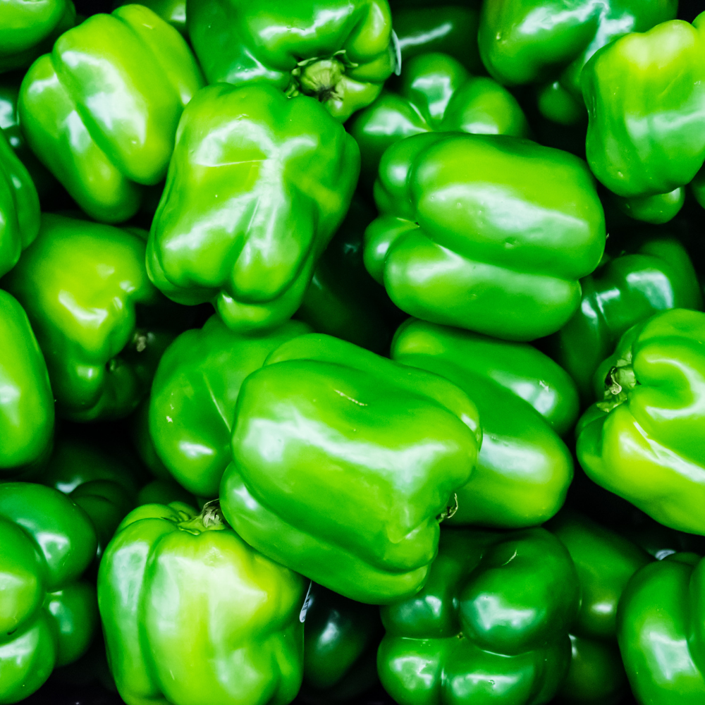 Bell Pepper - Green - Each