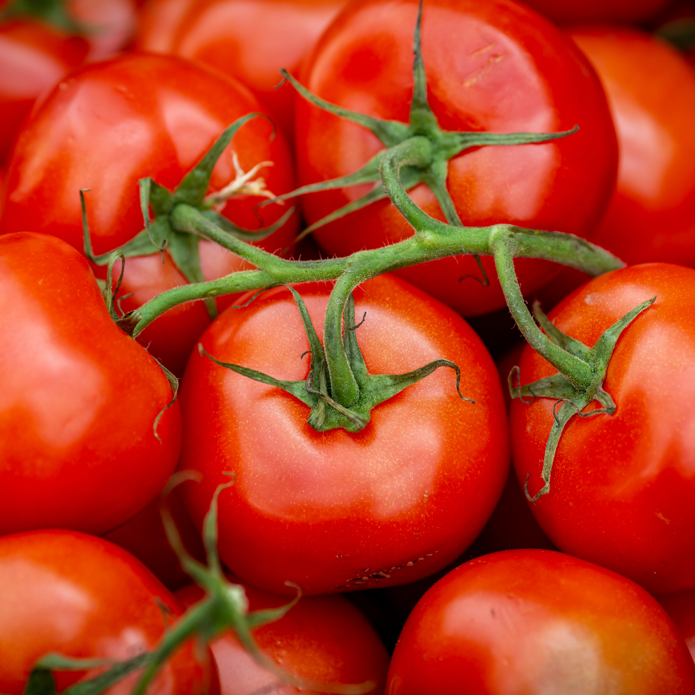 Vine Tomatoes - Large - Kilo