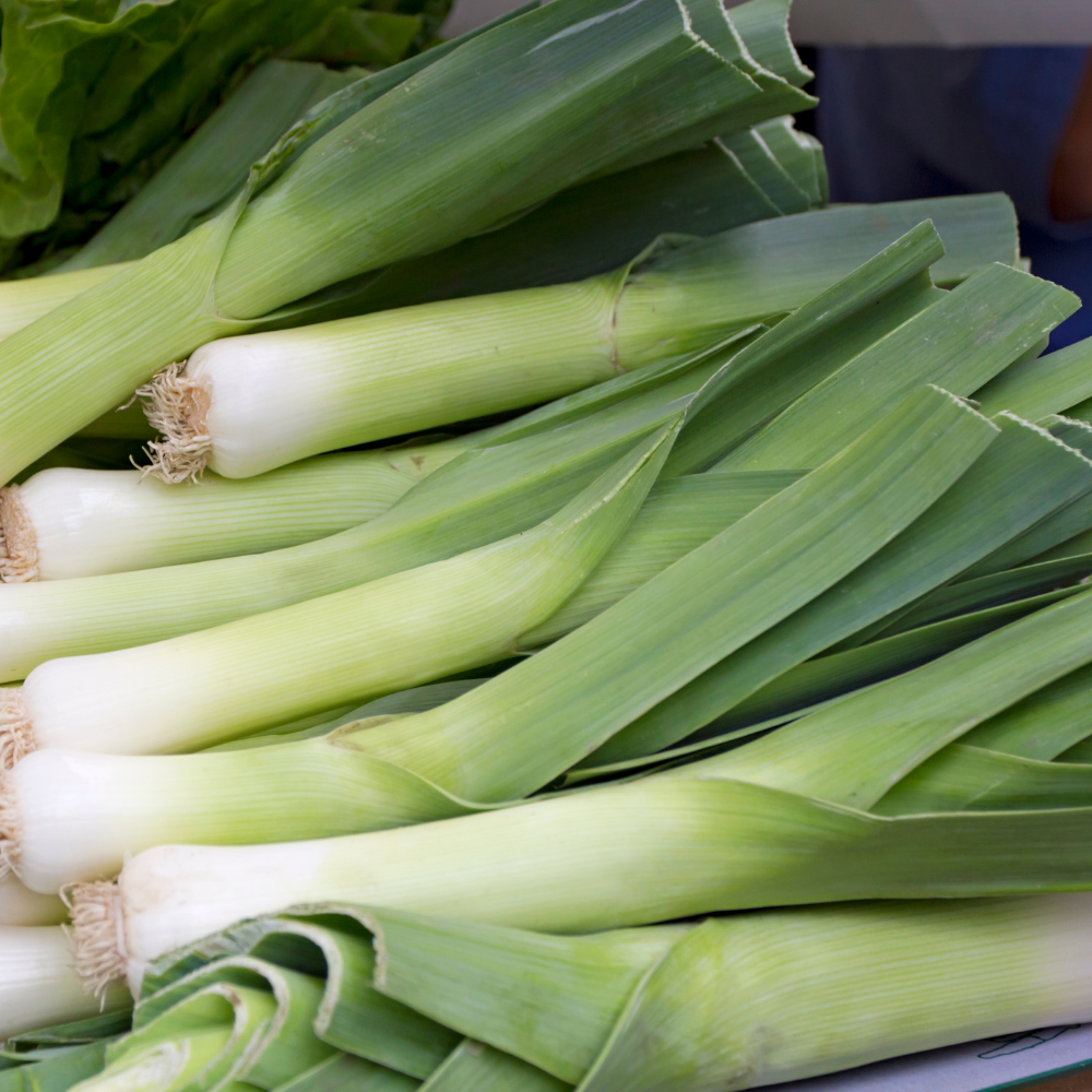 Leeks - British - Pack