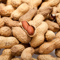 Monkey Nuts - Bag