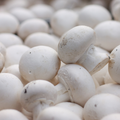 Mushrooms - Button - Irish - 400g Pack