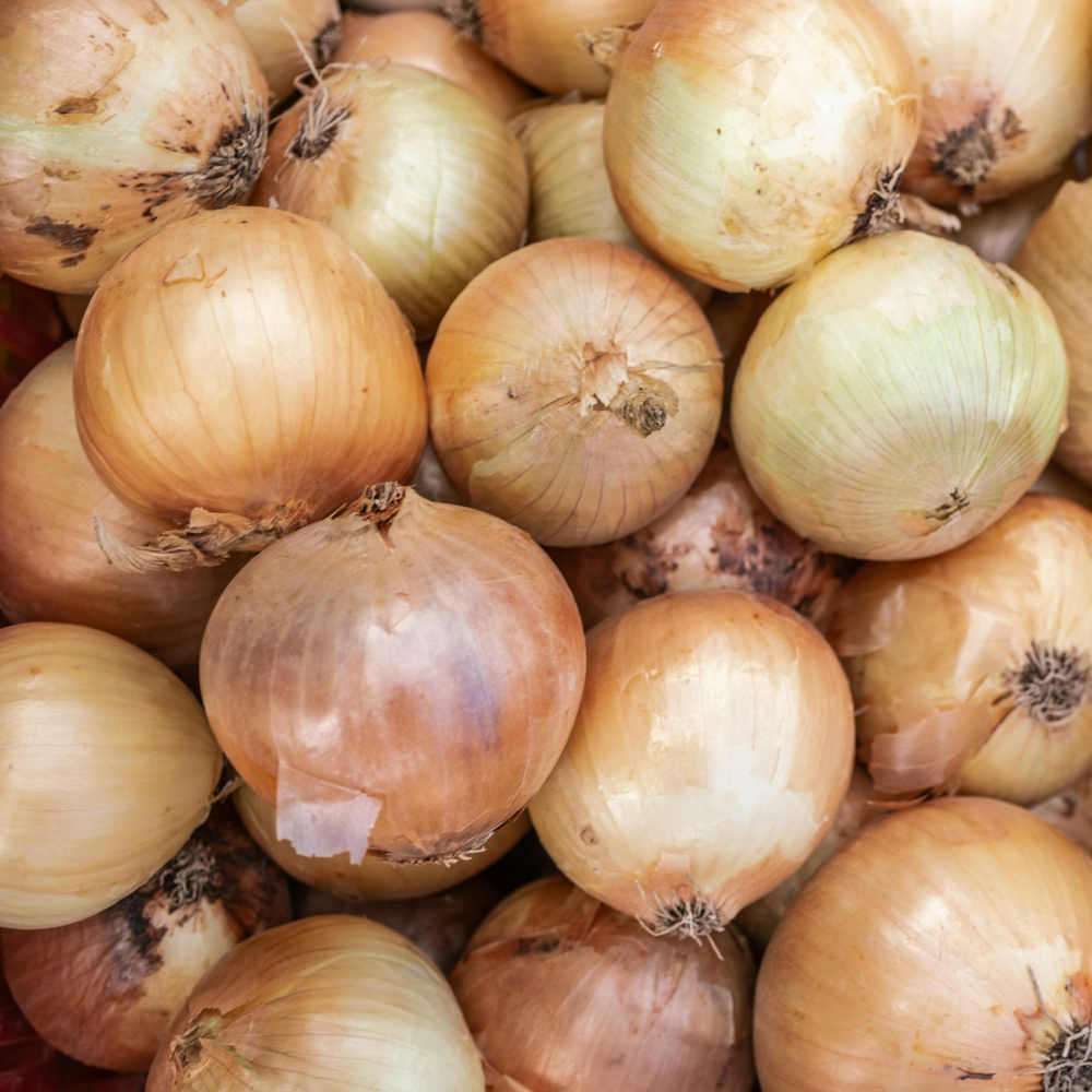 Onion - White - 1kg Bag