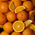 Oranges - Large- Each