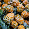 Pineapple - Each