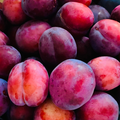 Plums - Punnet