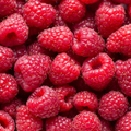 Raspberries - Punnet