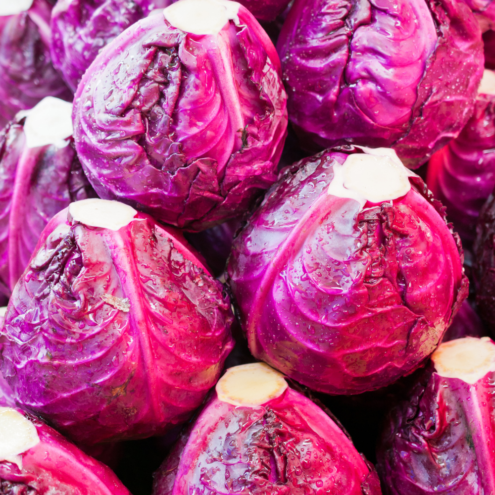 Cabbage - Red - UK - Each