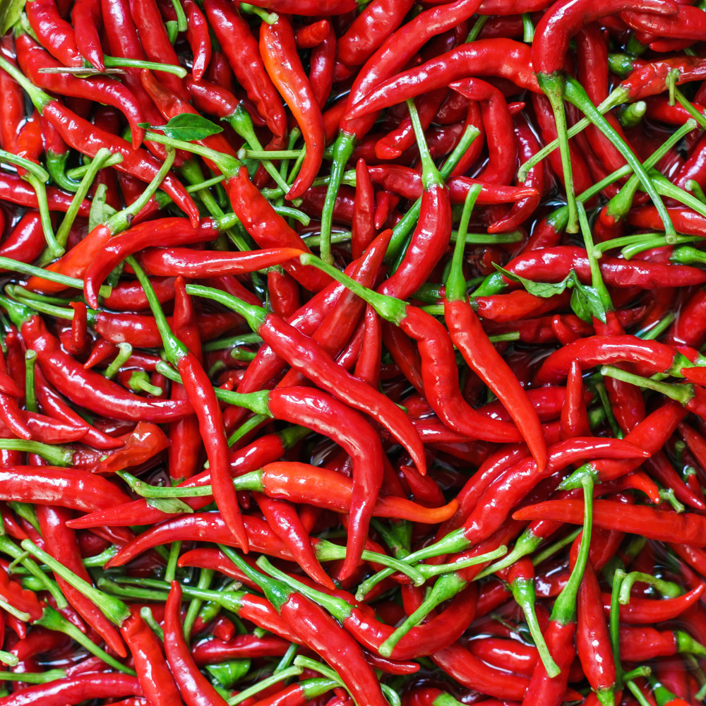 Chillies - Fresh - Pack
