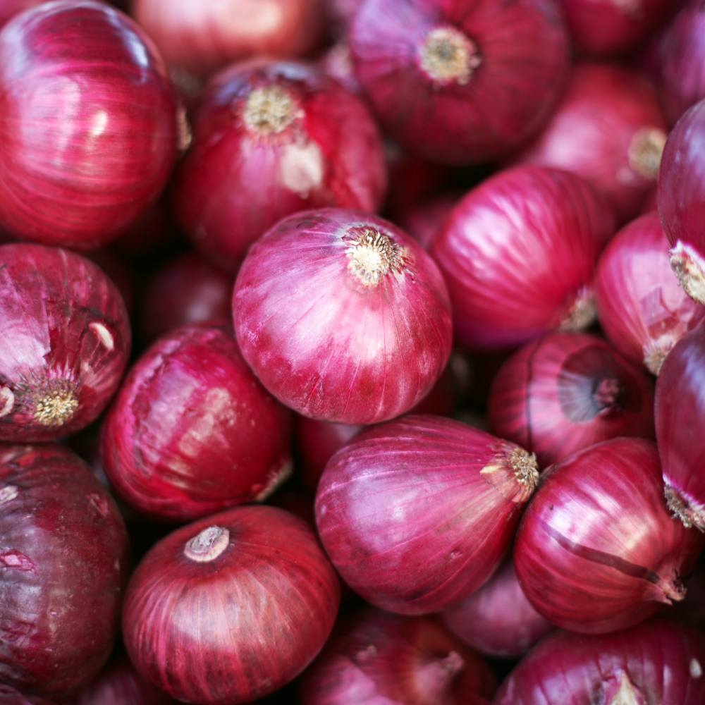 Onion - Red - Kilo