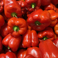 Bell Pepper - Red - Each