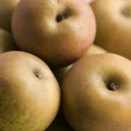 Apples - Russets New Season - British - Pack of 6