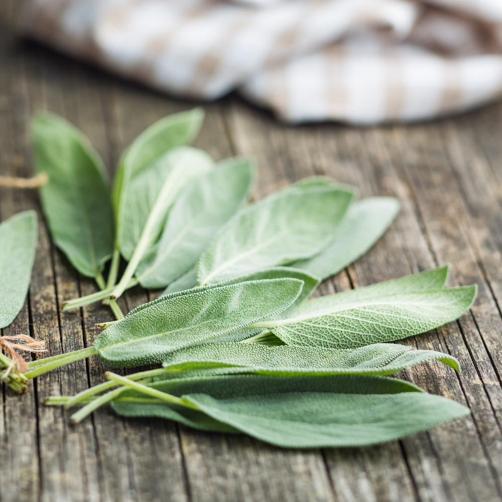 Fresh - Sage - Pack