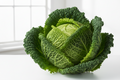 Savoy cabbage new season