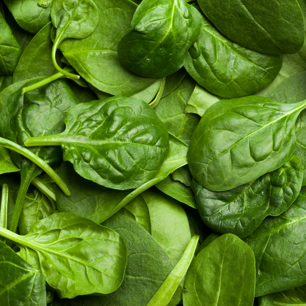 Close-up of fresh green spinach leaves from The Choice is Yours Mumbles