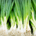 Spring Onions - British - Bunch