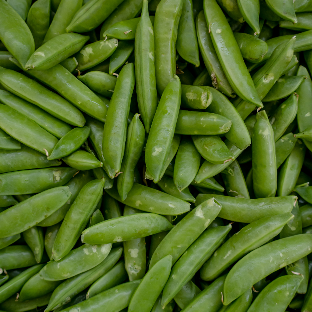 Sugar Snap Peas - Pack