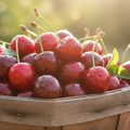 A PUNNET OF CHERRIES New Season British