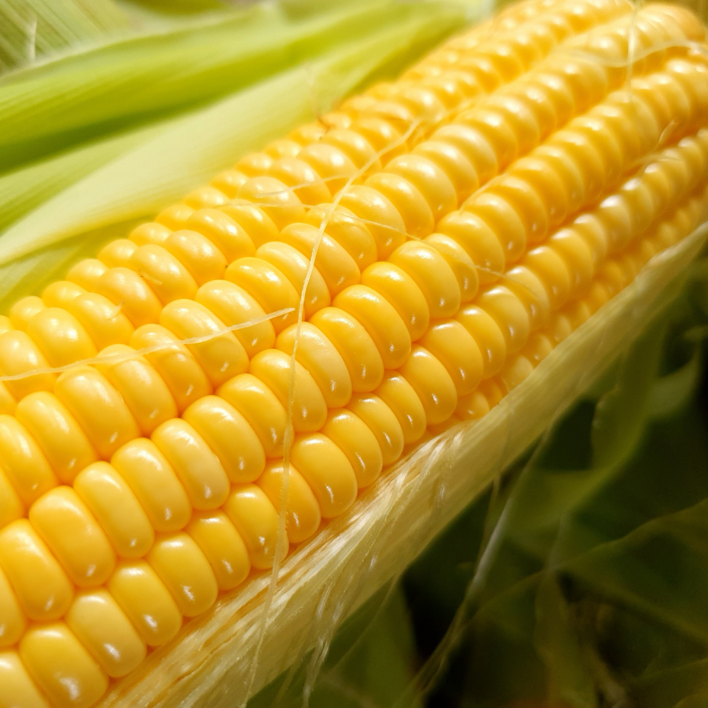 Sweetcorn - Long-life - Pack