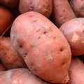 Potatoes - Sweet - Pack