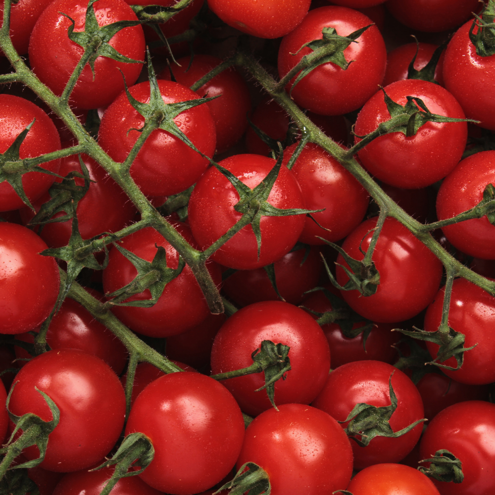 Vine Tomatoes - Small - Pack 450g