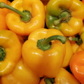 Bell Pepper - Yellow - Each
