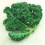 Image for Curly Kale