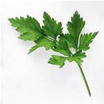 Image for Parsley  - Fresh - Flat Leaf