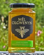 Image for Honey - Mel Cilgwenyn - Pure Gower Saltmarsh Wildflower Honey