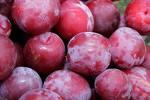 Image for Plums - BRITISH