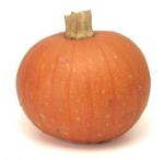 Image for Pumpkins -Gower Grown -Medium/Large